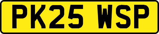PK25WSP