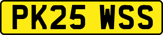 PK25WSS