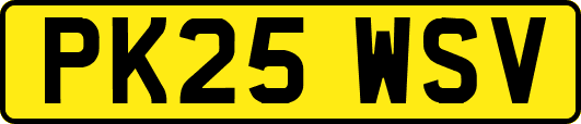 PK25WSV