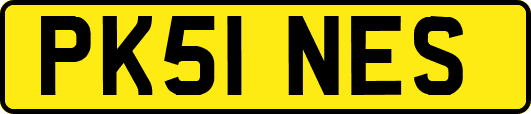 PK51NES
