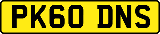 PK60DNS