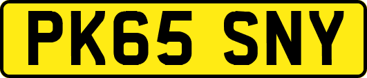 PK65SNY