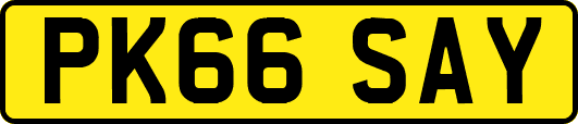 PK66SAY
