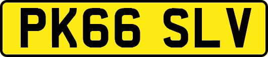 PK66SLV