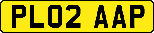 PL02AAP