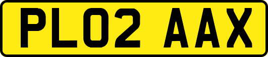 PL02AAX