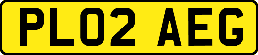 PL02AEG