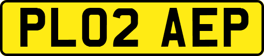 PL02AEP