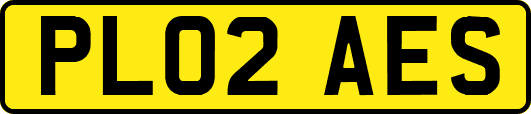 PL02AES