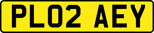 PL02AEY