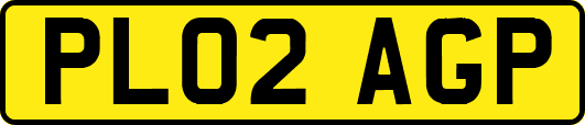 PL02AGP