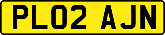 PL02AJN