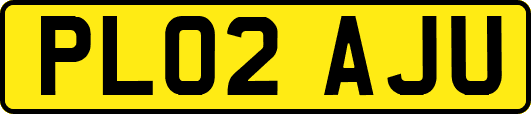 PL02AJU