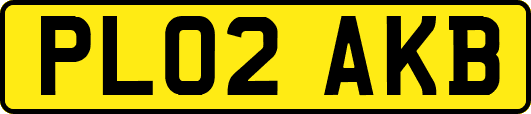 PL02AKB