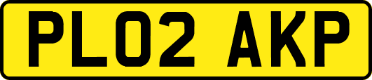 PL02AKP