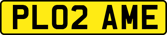 PL02AME