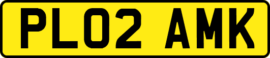 PL02AMK