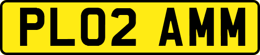PL02AMM