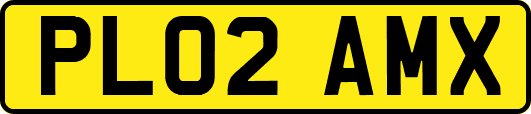 PL02AMX