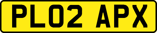 PL02APX