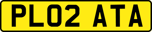 PL02ATA