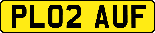 PL02AUF
