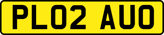 PL02AUO