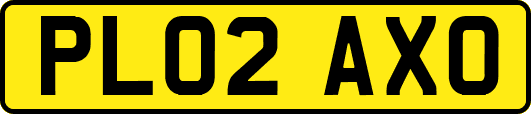 PL02AXO