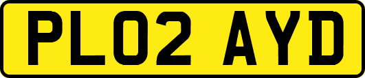 PL02AYD