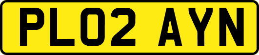 PL02AYN