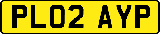 PL02AYP