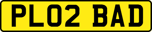 PL02BAD