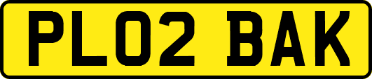 PL02BAK