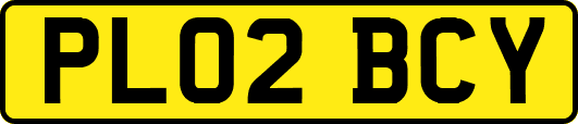 PL02BCY