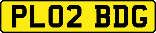 PL02BDG