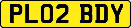PL02BDY