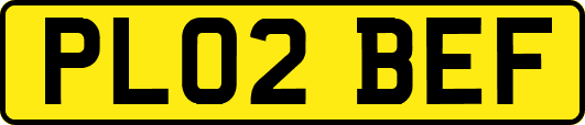 PL02BEF