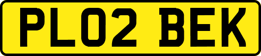 PL02BEK