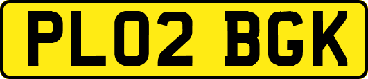 PL02BGK