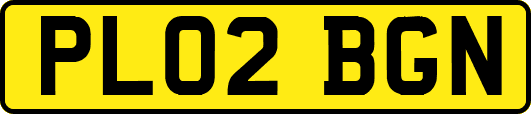 PL02BGN