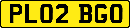 PL02BGO