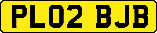 PL02BJB