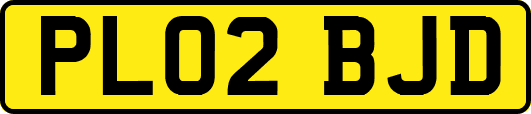 PL02BJD