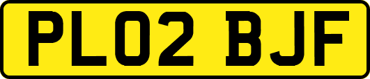 PL02BJF