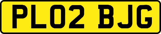 PL02BJG