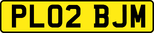 PL02BJM