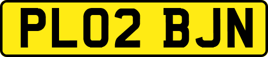 PL02BJN
