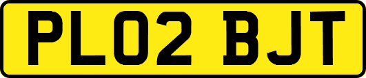 PL02BJT