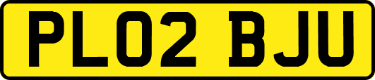 PL02BJU