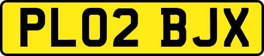 PL02BJX